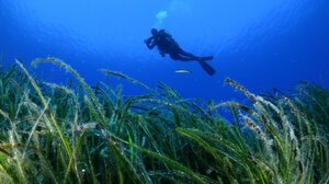 Πάτρα: Άκαρπες οι έρευνες για τον 27χρονο που είχε πάει για υποβρύχιο ψάρεμα