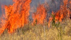 Πυρκαγιά στον Διόνυσο - Εστίες και σε Μαραθώνα και Χαλάνδρι