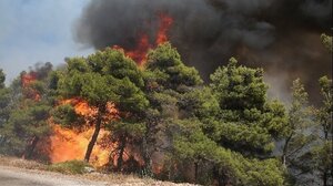 Πολύ υψηλός κίνδυνος πυρκαγιάς σε άλλες 8 περιφέρειες