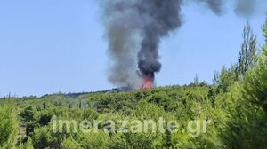 Ζάκυνθος: Υπό έλεγχο η πυρκαγιά στον Αγαλά