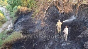 Από πελαργό προκλήθηκε πυρκαγιά κοντά στο Καινούριο