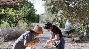 Παρουσιάζεται η έκθεση αποτελεσμάτων των διεθνών ερευνητικών εργαστηρίων PERIPLUS στον Πλατανιά