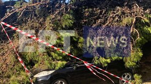 Έπεσε δέντρο σε πολυσύχναστο δρόμο του Ηρακλείου