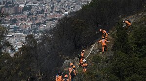 Ιστορικά χαμηλό το ποσοστό αποψίλωσης των δασών της Κολομβίας για το 2023