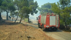 Ηράκλειο: Τι σημαίνει η παράταση της αντιπυρικής περιόδου ως τις 15 Νοεμβρίου