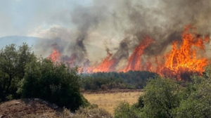 Πυρκαγιά απειλεί τον Δομοκό - Εκκενώνεται το χωριό Κορομηλιά