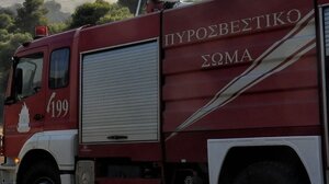 Ολονύχτια μάχη με τις φλόγες στο όρος Πάικο - Πιθανόν από κεραυνό