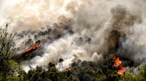 Σοφικό Κορινθίας: Μάχη με τις διάσπαρτες εστίες δίνουν οι πυροσβεστικές δυνάμεις