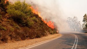 Υπό μερικό έλεγχο οι πυρκαγιές σε Σκλήθρο Φλώρινας και Άσπρο Κιλκίς