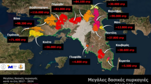 Το 37% των δασών της Αττικής κάηκε μέσα στα 8 τελευταία χρόνια, στάχτη 450.000 στρέμματα