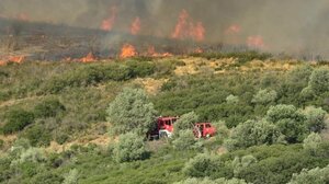 Κιλκίς: Φωτιά σε χαμηλή βλάστηση στο Πολύκαστρο