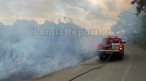 Πυρκαγιά από κεραυνό στη δυτική Φθιώτιδα 