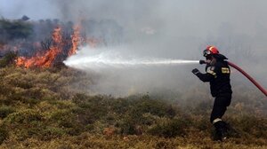 Φωτιά στην Πλάκα Λιτοχώρου – Ήχησε το 112