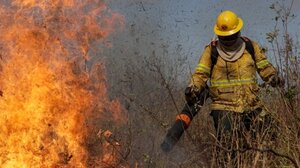 Βραζιλία: 30 πόλεις σε μέγιστο συναγερμό για δασικές πυρκαγιές- 2 νεκροί