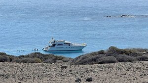 Σήμα κινδύνου "εκπέμπει" το κεδρόδασος στη Χρυσή!