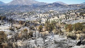 Συνεχίζεται η στήριξη στους πληγέντες των πυρόπληκτων περιοχών του Δήμου Αμαρίου 