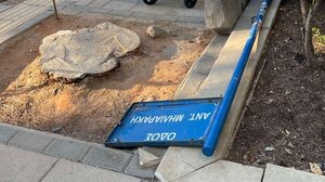 Το κομμένο δέντρο ... έμεινε εκεί και "απειλεί"!