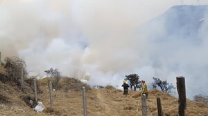 Καίγεται η Κολομβία: Πάνω από 90.000 στρέμματα στάχτη