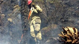 Πυρκαγιές στην Κολομβία: Οι φλόγες εξαπλώνονται σε 7 νομούς