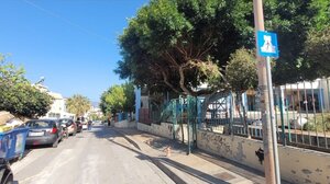 Καλλωπισμός και συντήρηση των χώρων πρασίνου σε όλα τα σχολεία 