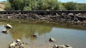 Ξηρασία στον Πηνειό: Σε διάφορα σημεία μετατράπηκε σε ρυάκι - "Γνωστά τα αίτια της καταστροφής"