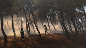 Μεγάλη η φωτιά στην Κίσσαμο - Στη μάχη με τις φλόγες ισχυρές πυροσβεστικές δυνάμεις