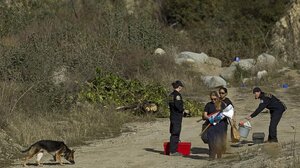 Χαλκιδική: Βρέθηκαν οστά σε χωράφι - Εικάζεται πως ανήκουν σε 41χρονο