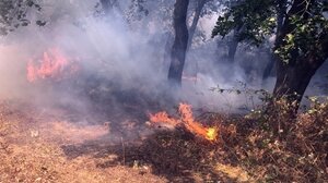 Φωτιά σε δασική έκταση στη Σκαλωτή Δράμας - Εναέρια μέσα στην μάχη κατάσβεσης της