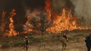 Μάχη με τις διάσπαρτες εστίες πυρκαγιάς στο Ξυλόκαστρο 