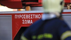 Πυρκαγιά σε δασική έκταση στην Τανάγρα