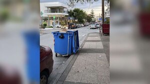 Πού εξυπηρετεί ο κάδος στη μέση του δρόμου;
