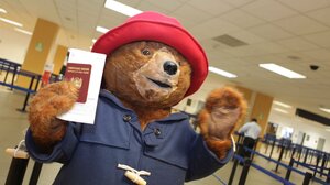 Ο Paddington θα φιλοξενήσει τρεις οικογένειες στο μαγευτικό σπίτι του στο Λονδίνο