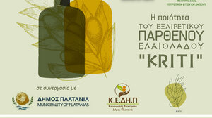 Ενημερωτική εκδήλωση στο Μάλεμε για ελαιουργούς και τυποποιητές ελαιόλαδου