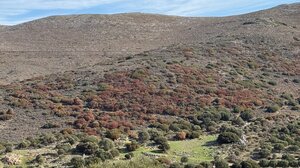 Κλιματική αλλαγή: Ξηρασία ρεκόρ καταγράφηκε στις αρχές Ιουλίου στην Ευρώπη και την περιοχή της Μεσογείου