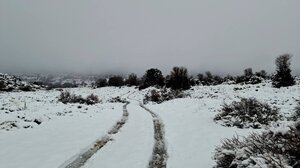 "Οδοιπορικό" στη χιονισμένη Κρήτη - Μοναδικές εικόνες!
