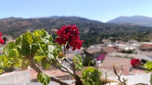 Σπήλι: Το υπέροχο χωριό με τις χαρακτηριστικές βρύσες