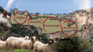 Η αγωνία του Χρυσοχοΐδη και η δικαίωση του Cretalive!