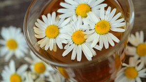 Τι συμβαίνει στο σώμα μας όταν πίνουμε χαμομήλι