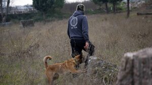 Αγωνία για τον Βασίλη Καλογήρου: «Τον απασχολούσε κάποιο προσωπικό του ζήτημα» λέει ερευνητής