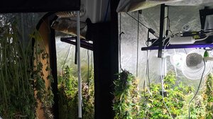 Ηράκλειο: Σε μπελάδες νεαρά αδέρφια για την υδροπονική καλλιέργεια και τα τρία κιλα χασίς - φωτογραφίες