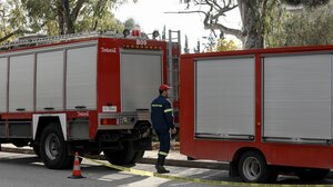 Φωτιά σε δασική έκταση στην Λακωνία