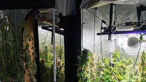 Αύριο απολογούνται τα δύο αδέρφια για τα 3 κιλά χασίς και την υδροπονική κάνναβη