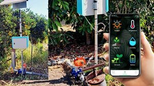 Εσπερίδα για την βελτίωση της άρδευσης πορτοκαλιάς και αβοκάντο με σύγχρονες τεχνολογίες