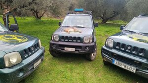 Η καταγγελία "έβγαλε" λαγό