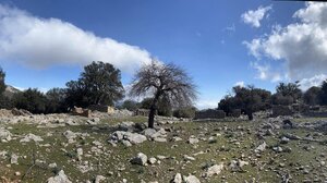 Στα βορειοδυτικά της Ιεράπετρας "περπάτησε" ο Ορειβατικός Σύλλογος Αγίου Νικολάου