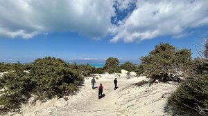 Αυτοψία στη Χρυσή: Τι λέει η Αποκεντρωμένη Διοίκηση σχετικά με τις έρευνες για την ξήρανση