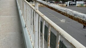 Ανήλικος πήγε να διαρρήξει διαμέρισμα και βρέθηκε στο κενό!