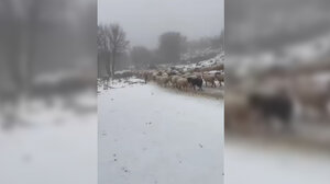 Στα λευκά το Οροπέδιο της Νίδας και η Ζώμινθος: Δείτε βίντεο