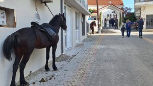 Καβαλάρηδες στις Μοίρες, στη χάρη του Αγίου Γεωργίου