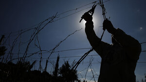 Πώς θα αποκτήσετε άδεια νέας φύτευσης οινοποιήσιμων ποικιλιών αμπέλου 